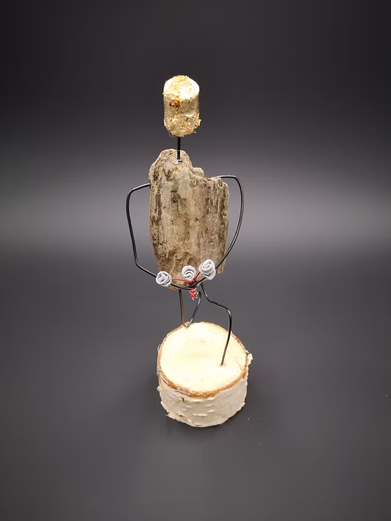 schwemmholz - undefined