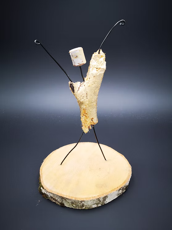 schwemmholz - undefined