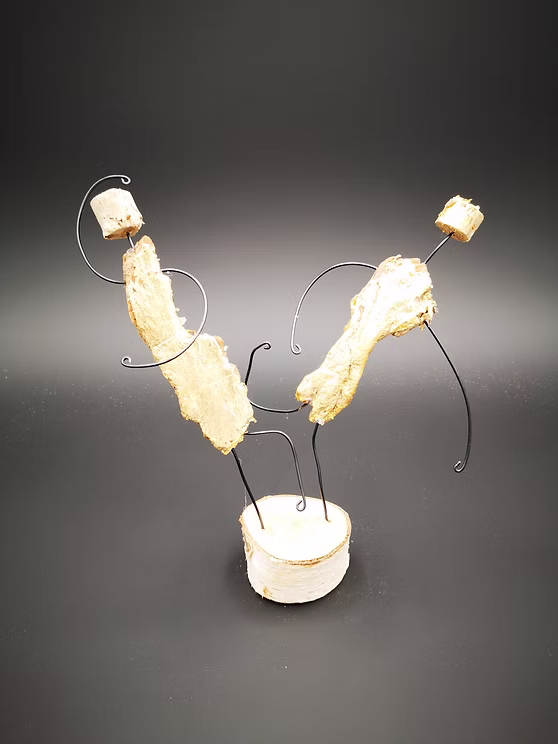 schwemmholz - undefined