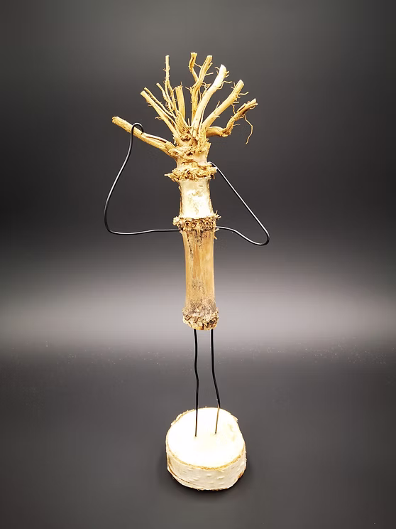 schwemmholz - undefined