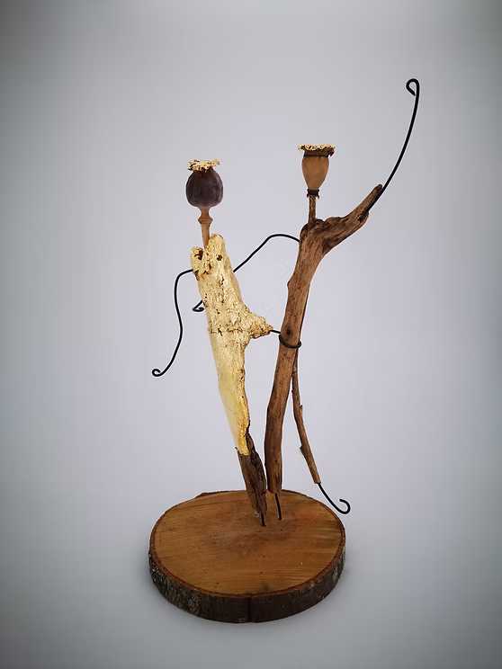 schwemmholz - undefined