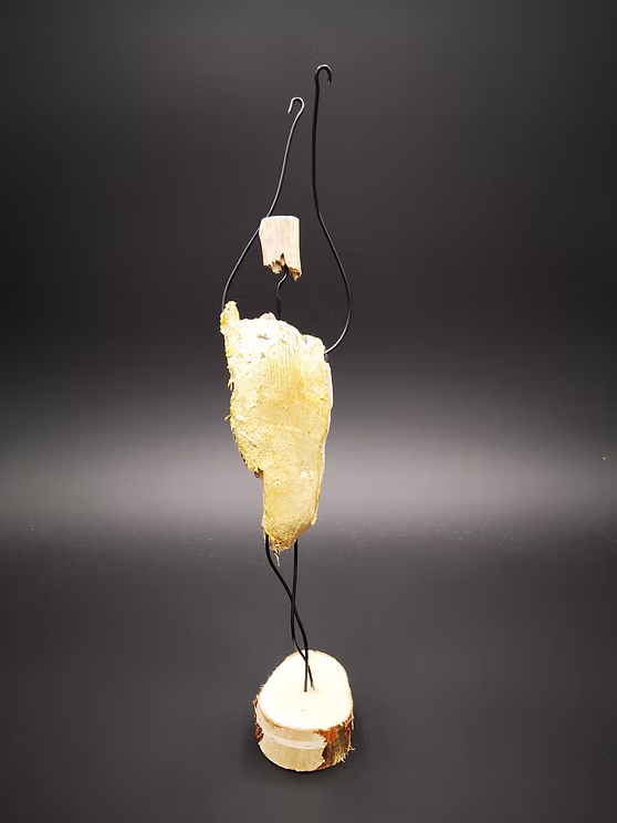 schwemmholz - undefined