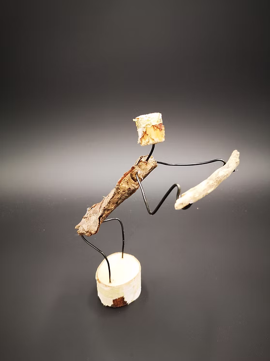 schwemmholz - undefined